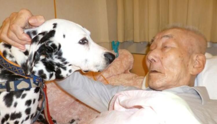 9旬失智老人不肯拋棄愛犬 一人一狗入住療養院