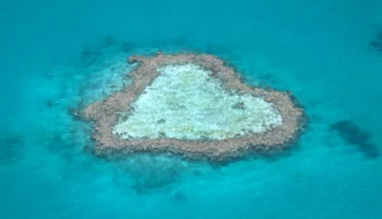 心形珊瑚礁（Heart Reef）