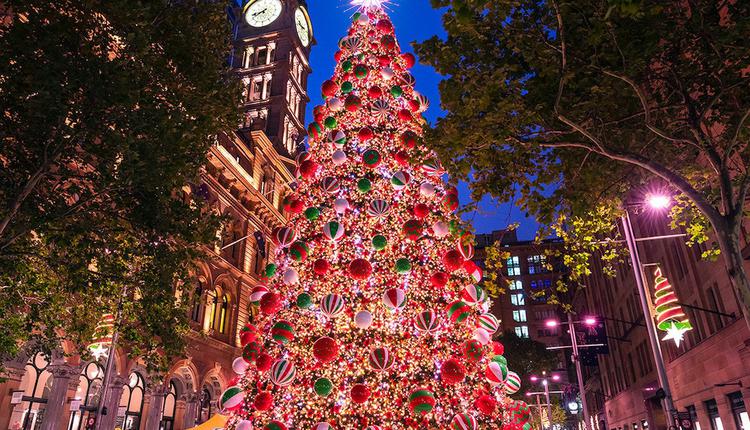 聖誕,悉尼,聖誕樹,聖誕彩燈,燈飾,燈光秀