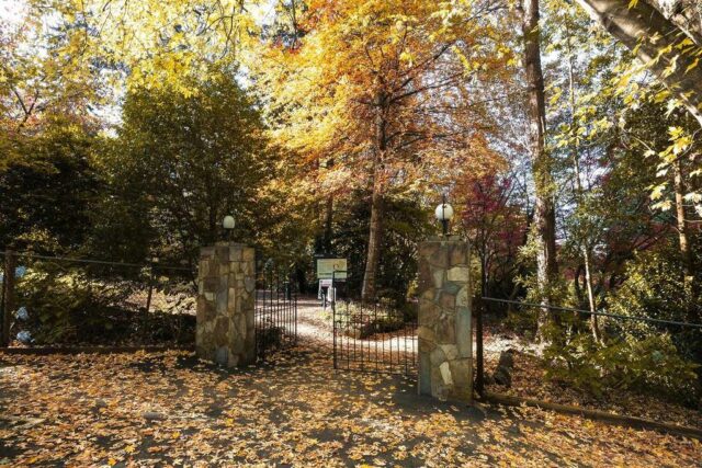 喬治·廷代爾紀念花園（George Tindale Memorial Gardens）