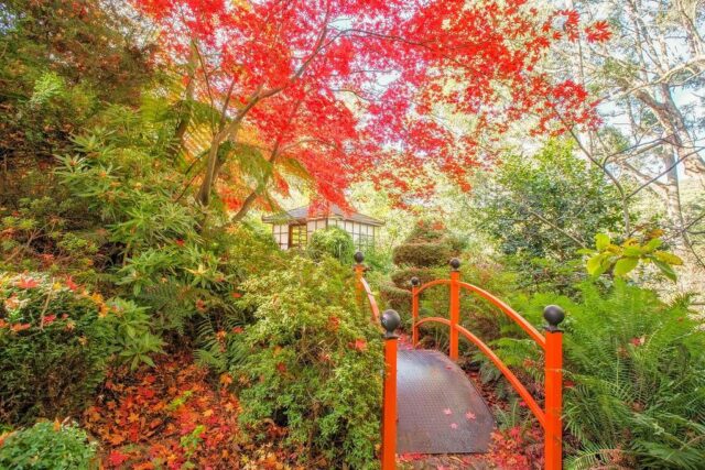 森林小徑花園（Forest Glade Gardens）